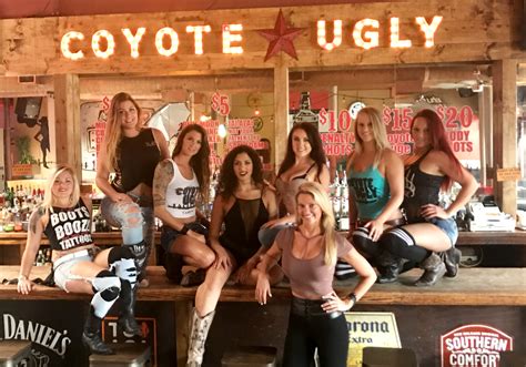 coyote ugly tampa photos